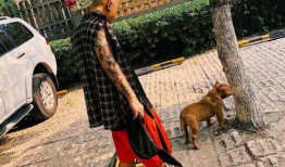 二驴最新爆料,揭秘娱乐圈惊人内幕